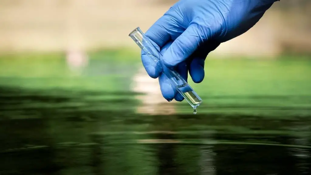 How To Fix Hard Water In Fish Tank