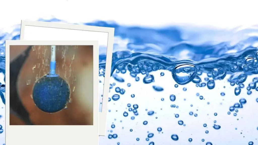 What Is An Airstone
