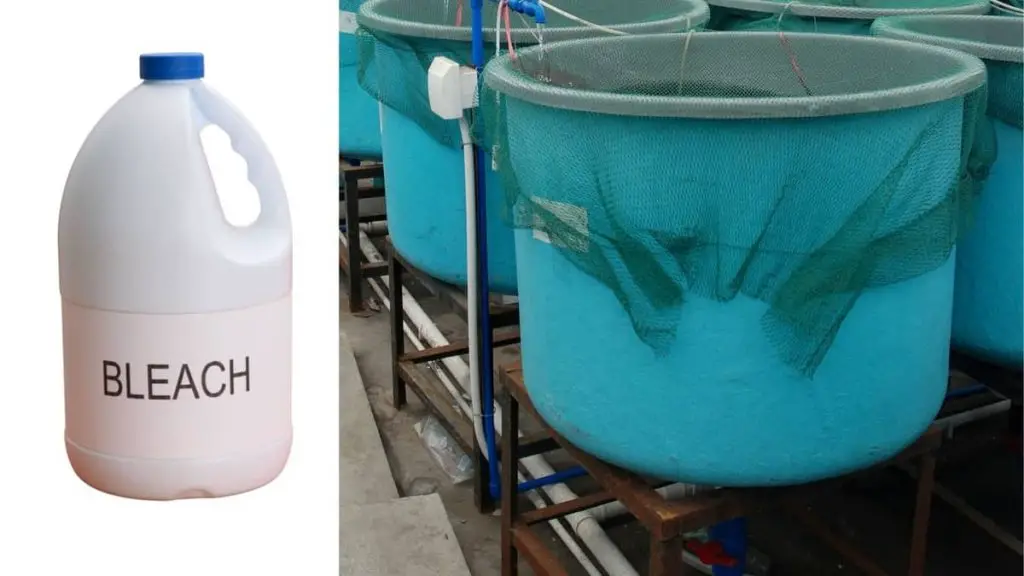 The Amazing Way How To Sterilize A Fish Tank