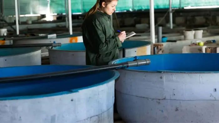 Tilapia Aquaponics Tank Size