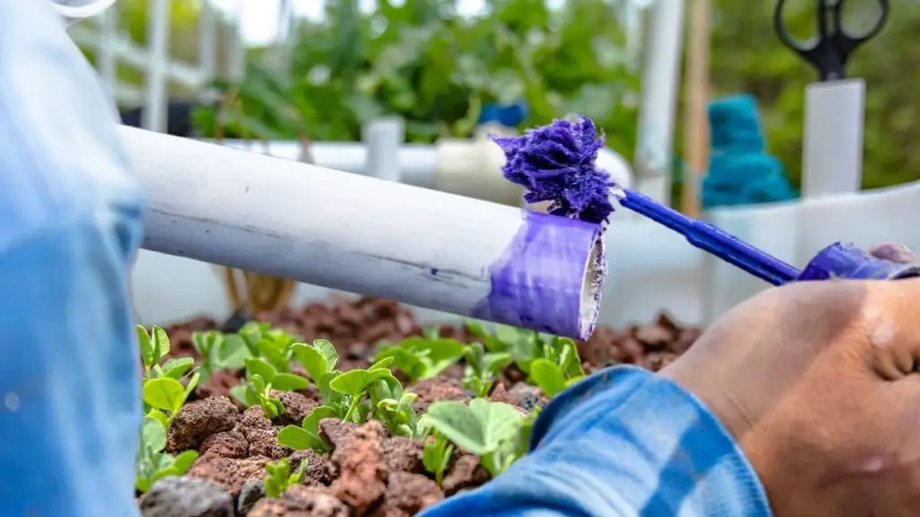Everything You Need To Know About Food Grade Glue For Plastic