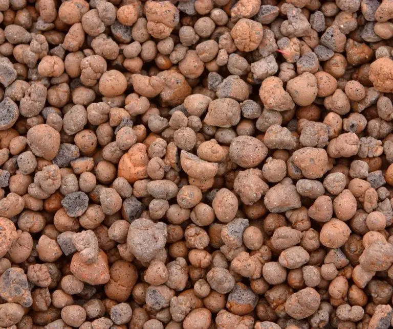 How To Use Clay Pebbles? Aquaponics Advisor