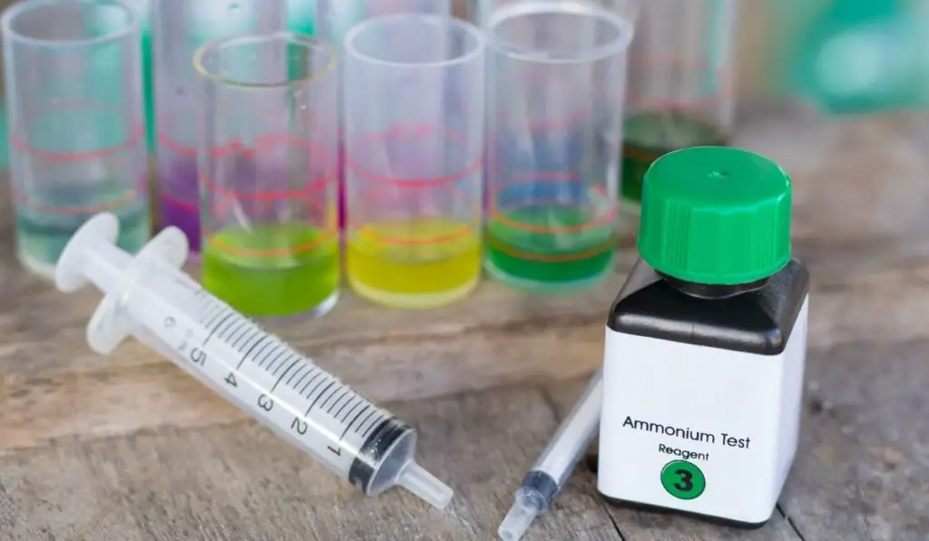 Your Step By Step Guide To Unionized Ammonia Calculation