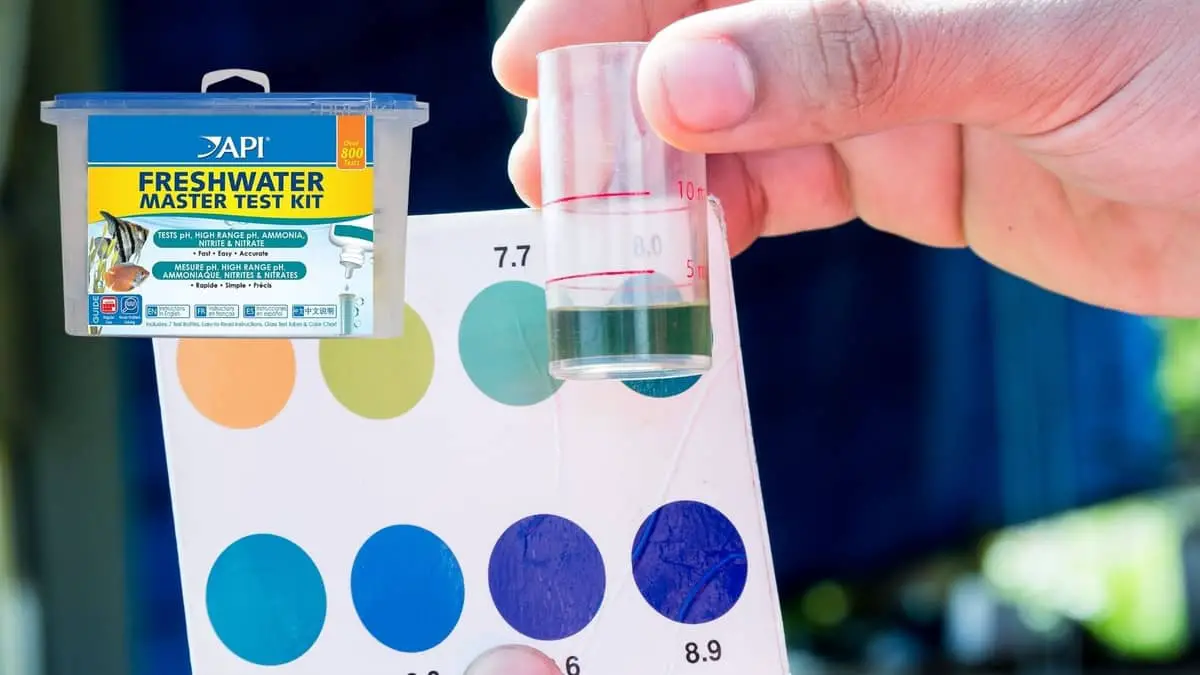 All You Need To Know About The Api pH Test Kit Color Chart