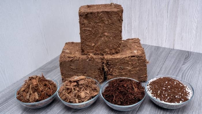 Coconut coir is the byproduct of coconuts