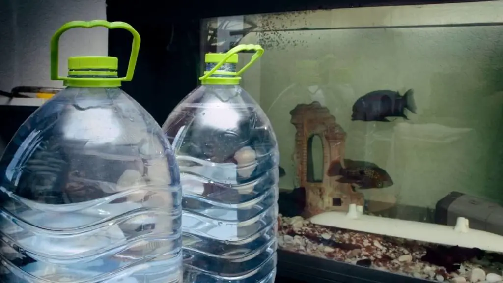 How To Reduce Water Hardness In A Fish Tank The Best Guide!