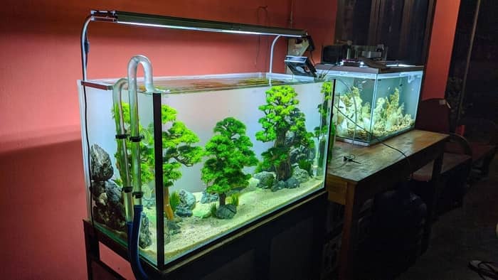 Cycling A Tank With Water From Another Fish Tank