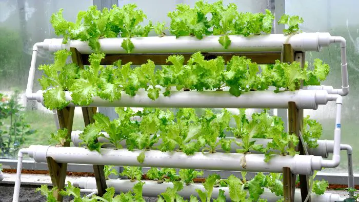  Can ABS be used for hydroponics?