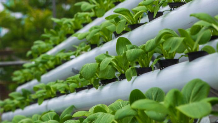  Is polypropylene safe for aquaponics?